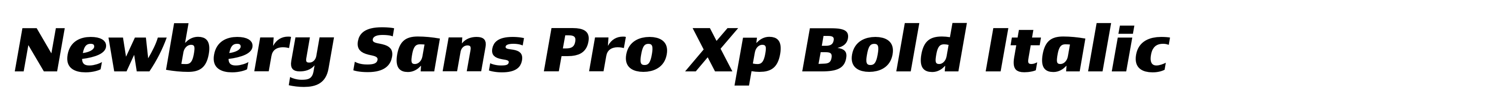 Newbery Sans Pro Xp Bold Italic